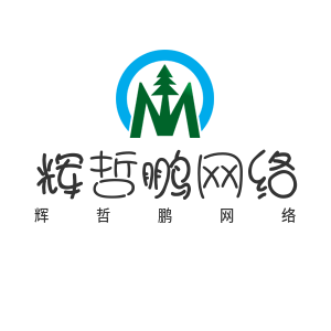 湖北省辉哲鹏网络科技有限公司